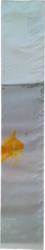 Goldfish 100L Vue marquage